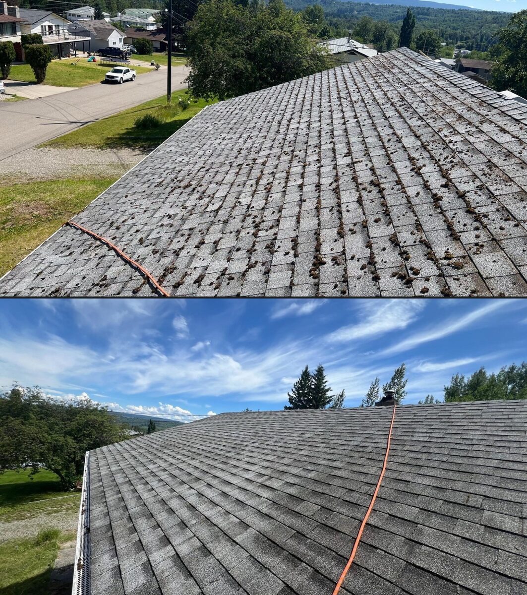 Full roof moss removal — wide view