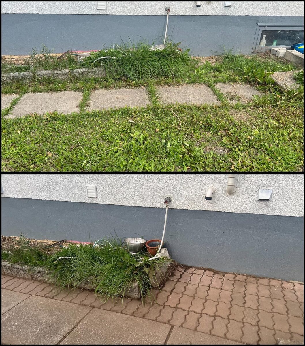 Patio area weed removal and cleanup