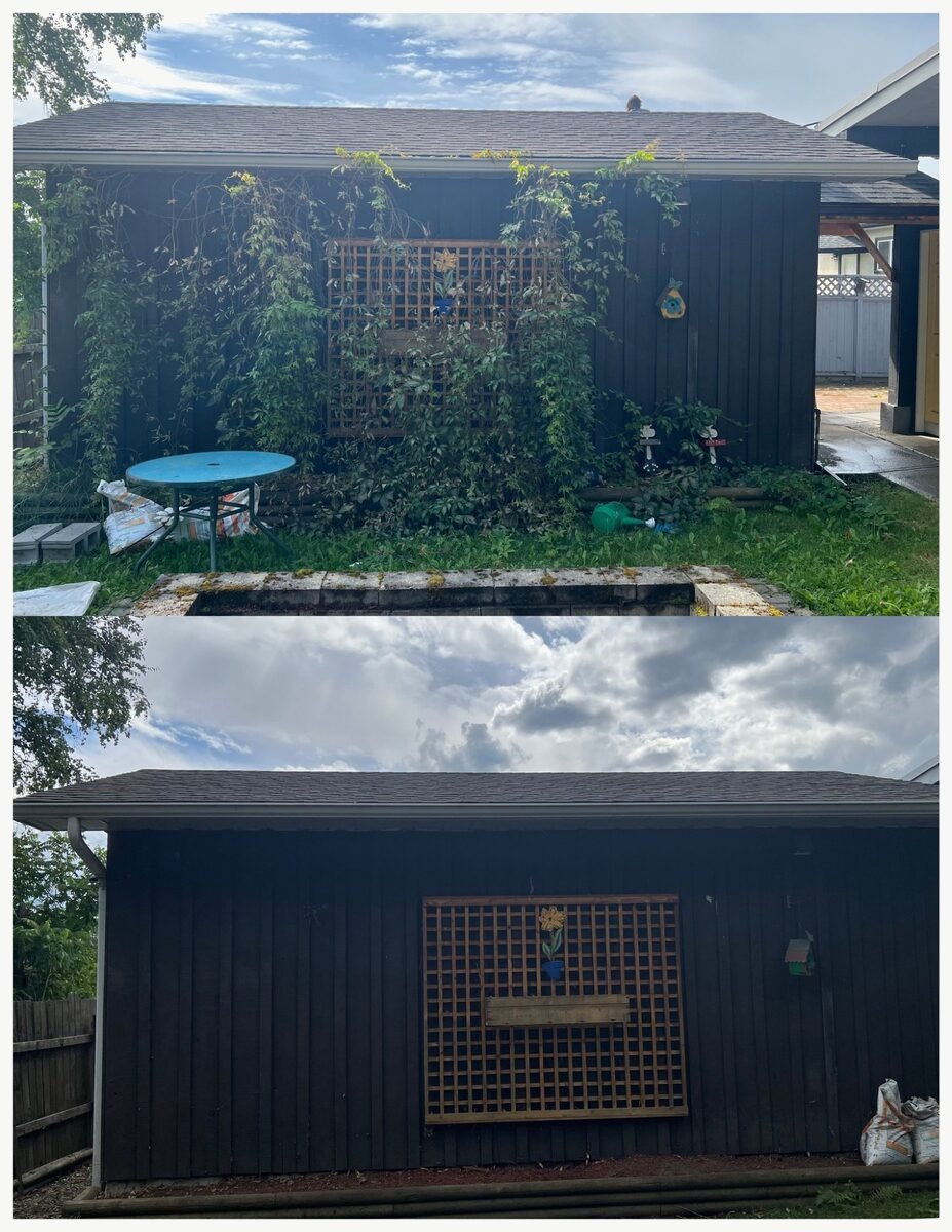 Yard cleanup before and after